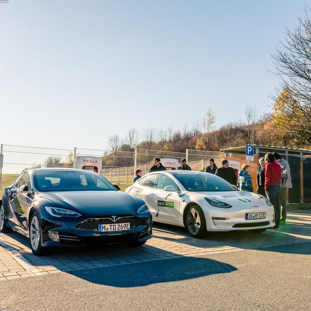 Avoiding the Seattle Street Ticket: Navigating Restricted Parking Zones (RPZs) in a Rental Car