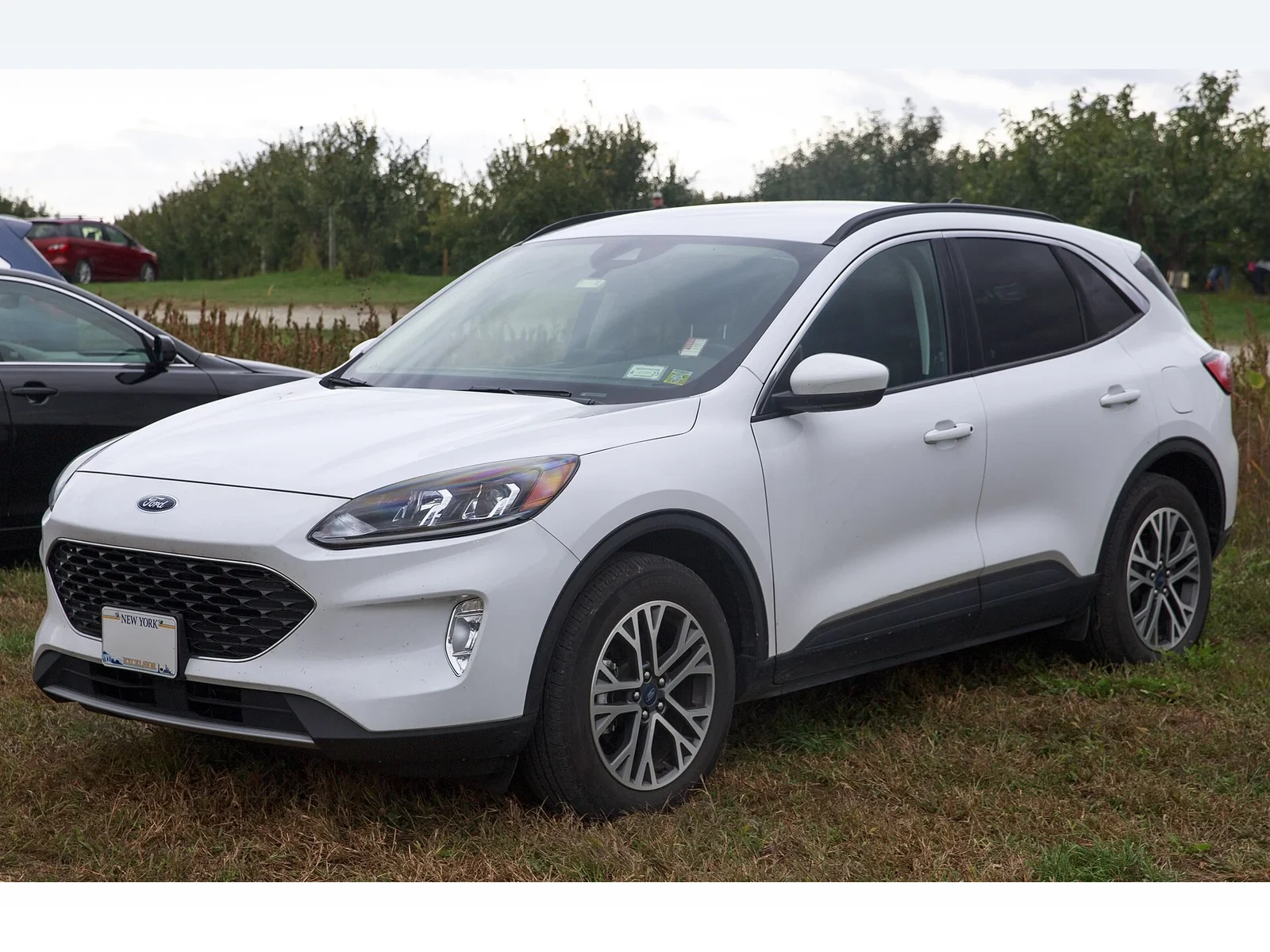 Ford Escape front three-quarter view — SeaTac CONRAC rental model gallery